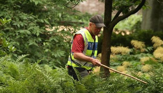 O fată de 15 ani din România, înjunghiată mortal în Germania