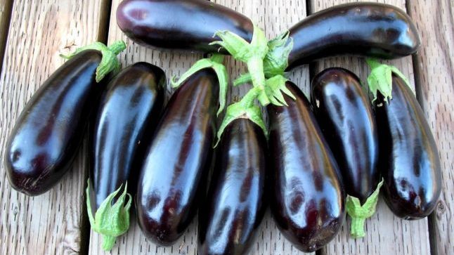 Cum să alegem cele mai bune vinete. Secretul dezvăluit de cultivatori