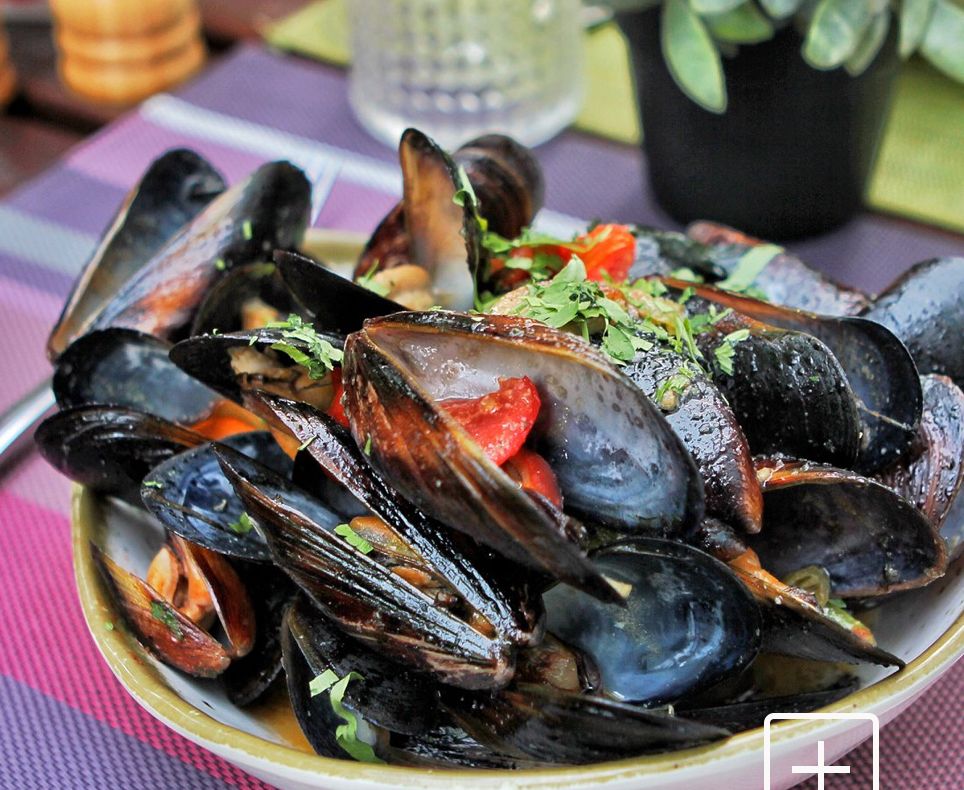 Alertă la Marea Neagră. Pescuitul scoicilor, interzis din cauza nivelului alarmant de toxine, pescarii sunt revoltați