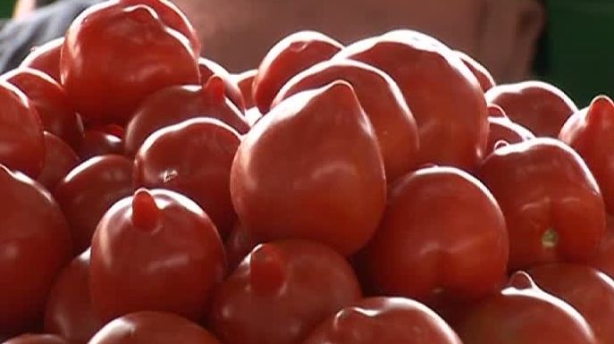 Adevărul despre roșiile cu ţugui! Ce sunt, de fapt. Mai mănânci?