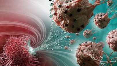 Cresc într-un singur loc din lume. Substanţa din ele distruge cancerul la 5 minute după administrare