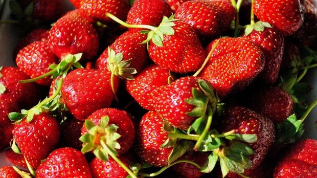 "Răzbunarea" căpşunarilor din România? Fructele englezilor putrezesc pe câmp