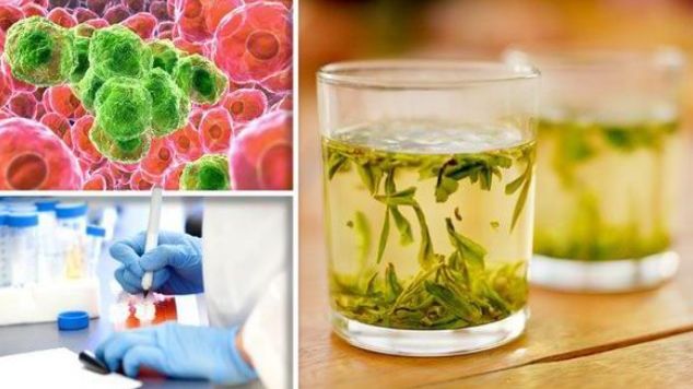 Singurul ceai care distruge celulele canceroase în 48 de ore. Uite cum se prepară