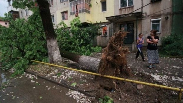 Dezastru în urma furtunilor: copaci smulşi de vânt, zeci de locuinţe şi curţi inundate