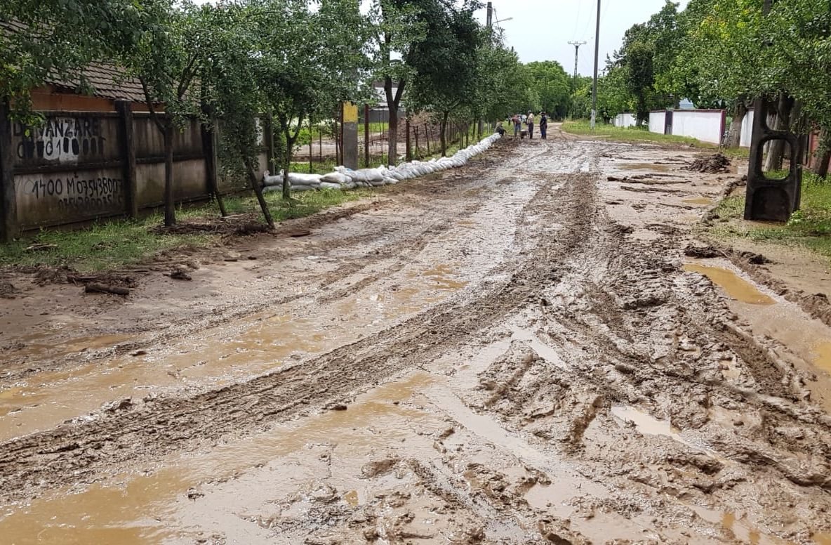 Furtuna a făcut ravagii la Arad