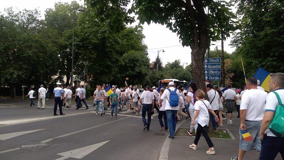 Suținător PSD: "Suntem ca oile. Credem că cel care e în față este mai deștept"