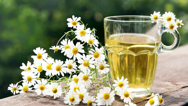 Beneficiile absolut uimitoare ale muşeţelului: tu le ştii?