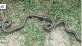 Apariţie de coşmar într-o grădiniţă din Mehedinţi, jandarmii chemaţi în ajutor