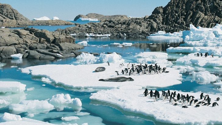 Sfârşitul este aproape? Ce au descoperit cercetătorii în Antarctica