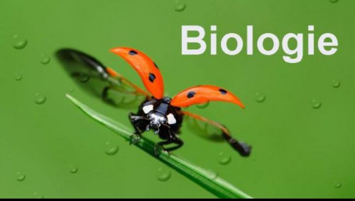 Subiecte Biologie BAC 2018. Subiecte uşoare la Biologie. Barem de corectare