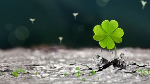 4 zodii are vor avea un noroc nebun în luna iunie. Nimic nu le stă în cale!