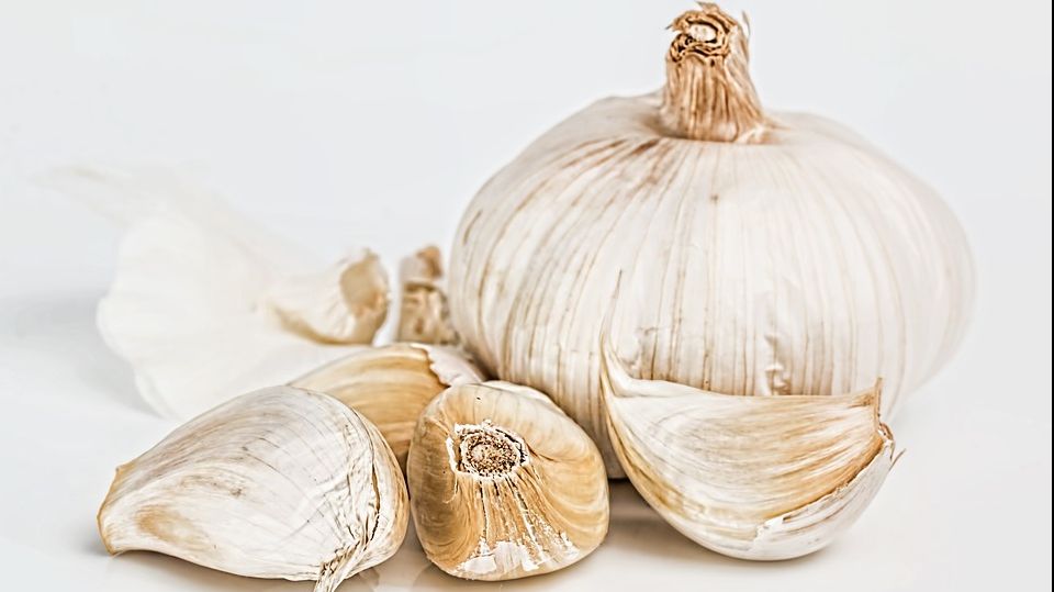 Nu mai consuma niciodată usturoi dacă ai una din aceste boli