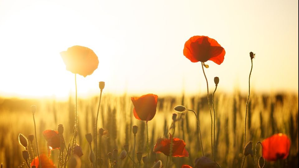 Surpriză din partea vremii. Prognoza meteo pentru iulie și august