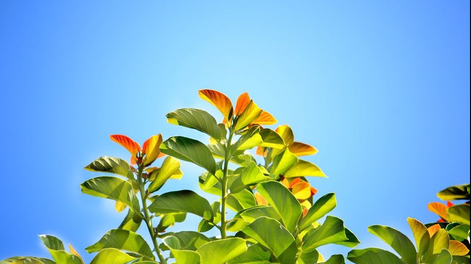 Anunţ de ultimă oră de la meteo. Cum va fi vremea în următoarele trei zile