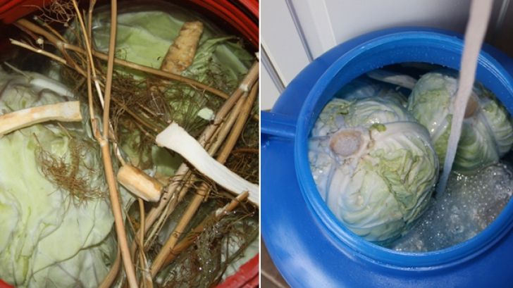 Cancerul şi varza murată - Legătura neştiută până acum. Mai consumi?