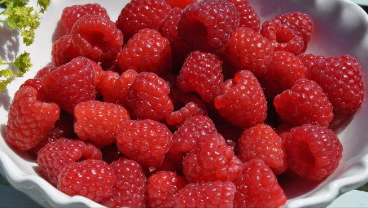 Cură cu zmeură: Ce se întâmplă dacă consumaţi 150 de grame pe zi