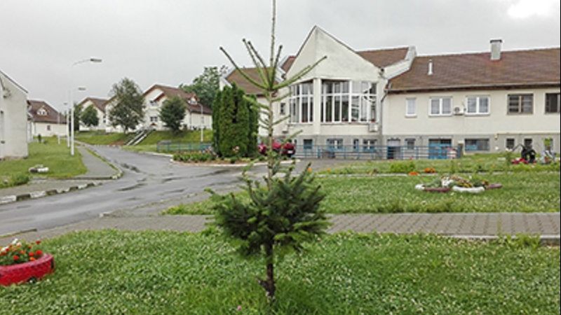 ŞOCANT. Un tânăr cu probleme psihice i-a scos ochii a unui alt pacient. Acesta ingera haine