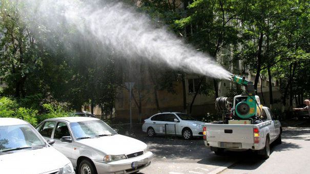 Primăria Capitalei a dat şase milioane de euro pentru dezinsecţie. De ţânţari tot nu am scăpat