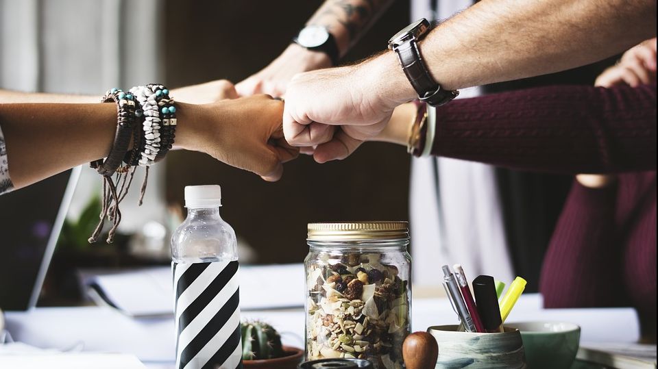 O echipă de angajați neozeelandezi a muncit doar patru zile pe săptămână. Experimentul, un succes