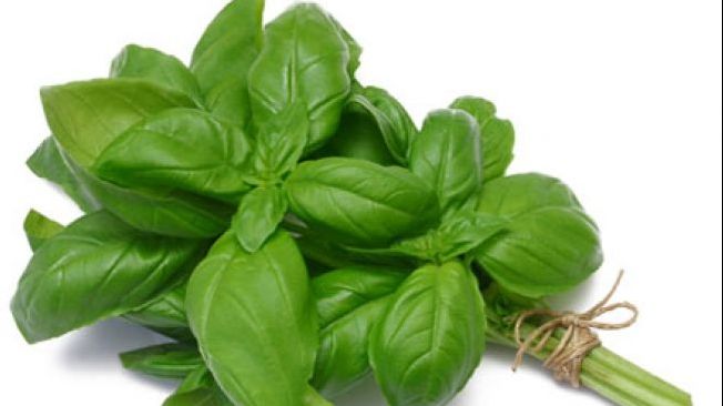 Efectele miraculoase și nebănuite ale busuiocului  