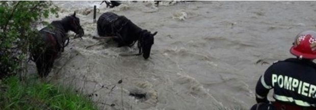 Tragedie în mijlocul vâltorii! A neglijat furia apelor şi a plătit cu viaţa 