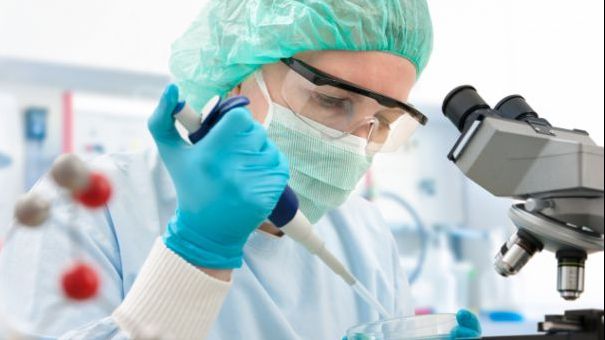 Singurul aliment care duce la scăderea colesterolului. Tu îl consumi?