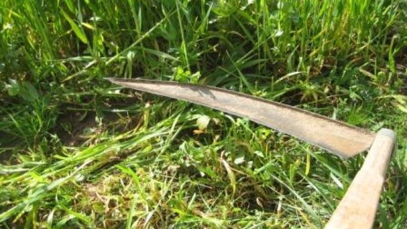 Un bărbat din Iași a fost înjunghiat de soție cu coasa 