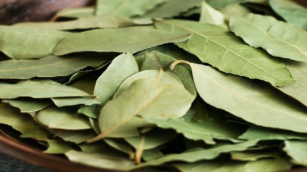 Aprinde frunze de dafin în casă şi vei vedea ce se întâmplă după câteva minute! Vei rămâne uimit