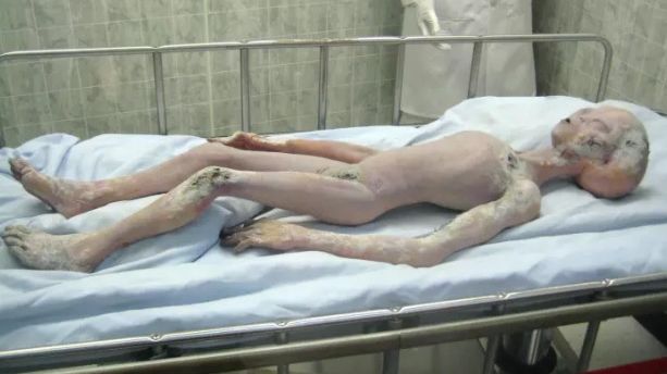 A fulgerat pe câmp şi a fugit acolo. Ce a găsit e o descoperire ce schimbă omenirea