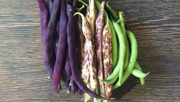 Mai ţineţi minte fasolea cu păstăi mov? Acum s-a aflat adevărul. Ce este, de fapt!