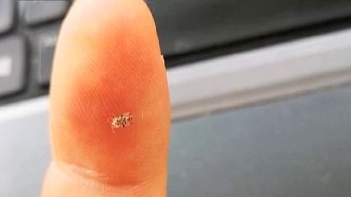 Bucureștenii se confruntă cu o mare problemă