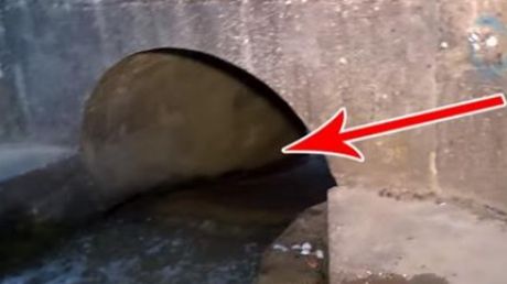 A auzit zgomote venind din tunel și s-a apropiat speriat. Erau vii!