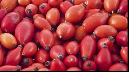 UIMITOR! Află cât de benefic este uleiul de măceșe