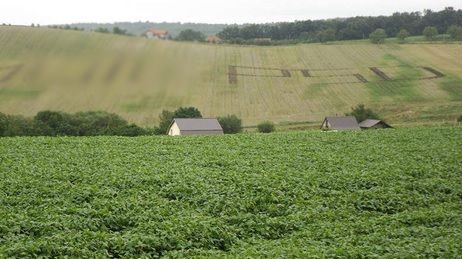 Ce se întâmplă cu mesajul anti-PSD scris pe dealul din Cluj cu tractorul, după discuţiile cu Poliţia