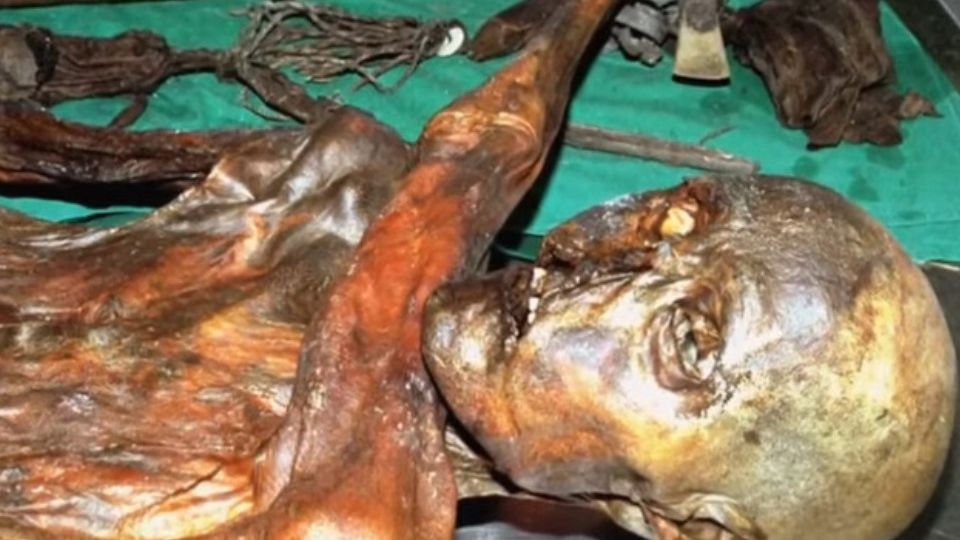 Cercetătorii au aflat care a fost ultima masă a lui Otzi, Omul Gheţurilor