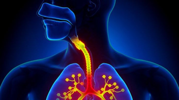 Acest remediu natural din 3 plante îţi curăţă plămânii. Tratamentul care face minuni pentru fumători