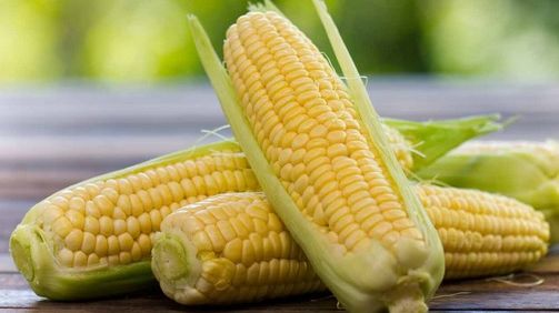 Cum să consumi corect porumbul fiert ca să nu te îngraşi