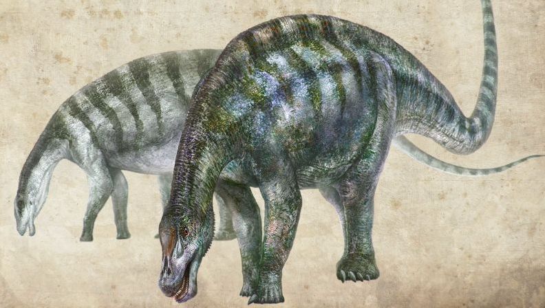A fost descoperită o nouă specie de dinozauri-dragon, în China 