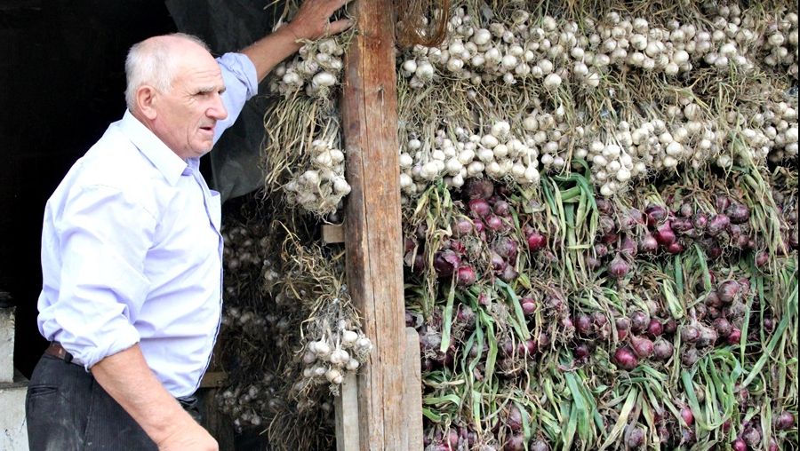 Locul unde creşte cel mai bun usturoi din România