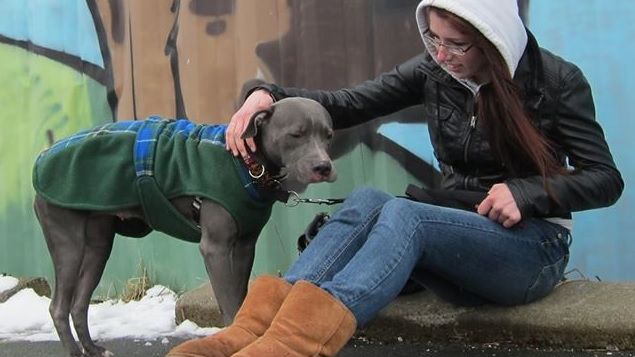 A fost abuzată sexual de 4 colegi de clasă. După 2 ani, mama ei descoperă ceva înfiorător în baie!