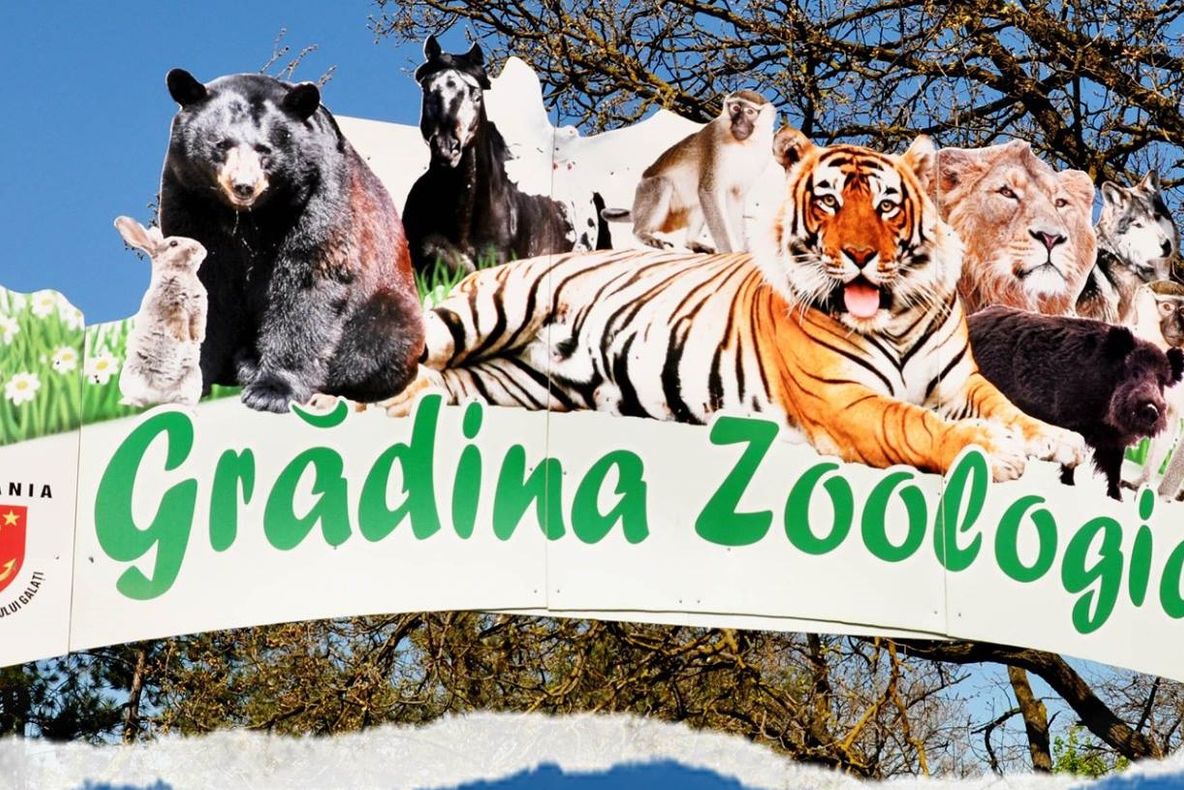 Imagini cumplite la ZOO Galaţi: Trei copii lovesc animalele, iar părinţii se uită la ei