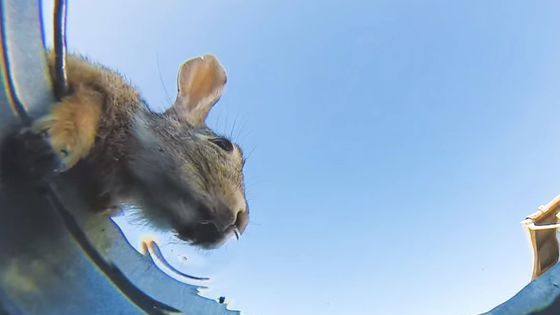 A pus o cameră în fundul unei găleţi pline cu apă. Ce s-a întâmplat e absolut UIMITOR 