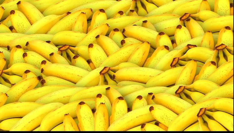 Alimente pe cale de dispariţie. Tu ştii care sunt? 