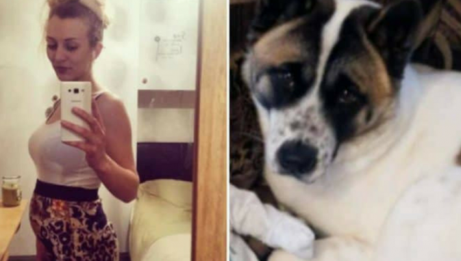 Gravida s-a îngrijorat după ce câinele tot lătra la pântecele ei. Medic: "Doamnă, v-a salvat viaţa"