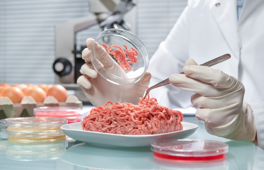 Carne din laborator, tu ai mânca așa ceva? 