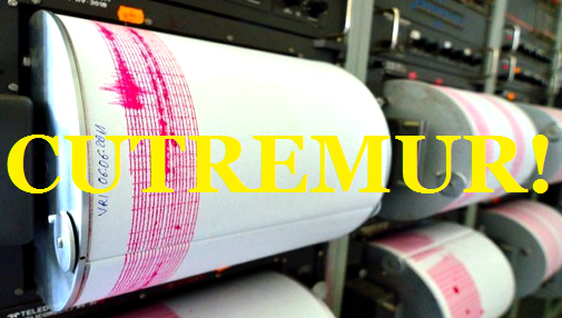 Cutremur în Vrancea