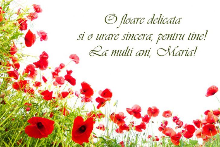 Mesaje de Sfânta Maria 2018. Cele mai drăguțe felicitări: La mulți ani de Sfanta Maria!