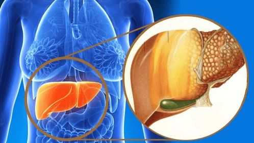 Ingredientul miraculos care reface ficatul și reduce colesterolul