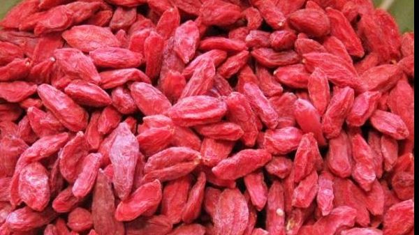 Beneficiile necunoscute ale fructelor goji. Iată motivele pentru care trebuie să le consumi!