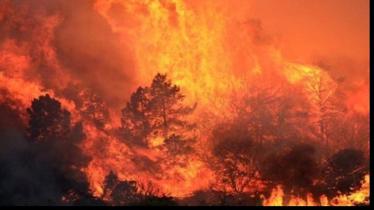 Când se va opri incendiul din California. Previziunile sunt cutremurătoare 